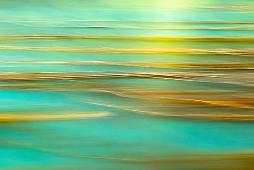 Alaska-Inian Islands Abstract of kelp in motion Art Print by Jaynes Gallery